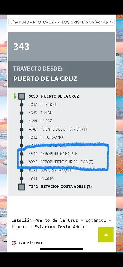 Loft Playa Torviscas,Garaje Gratis , Recien Reformado Apartment Costa Adeje  Spain