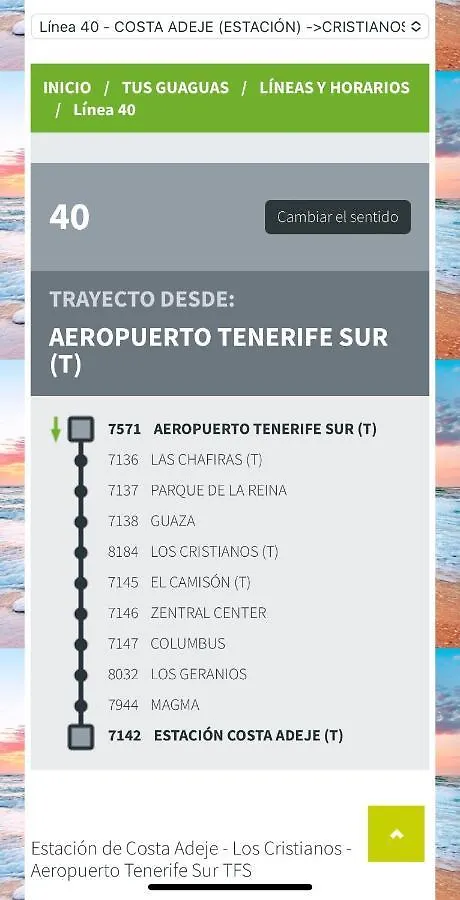 Loft Playa Torviscas,Garaje Gratis , Recien Reformado Apartment Costa Adeje